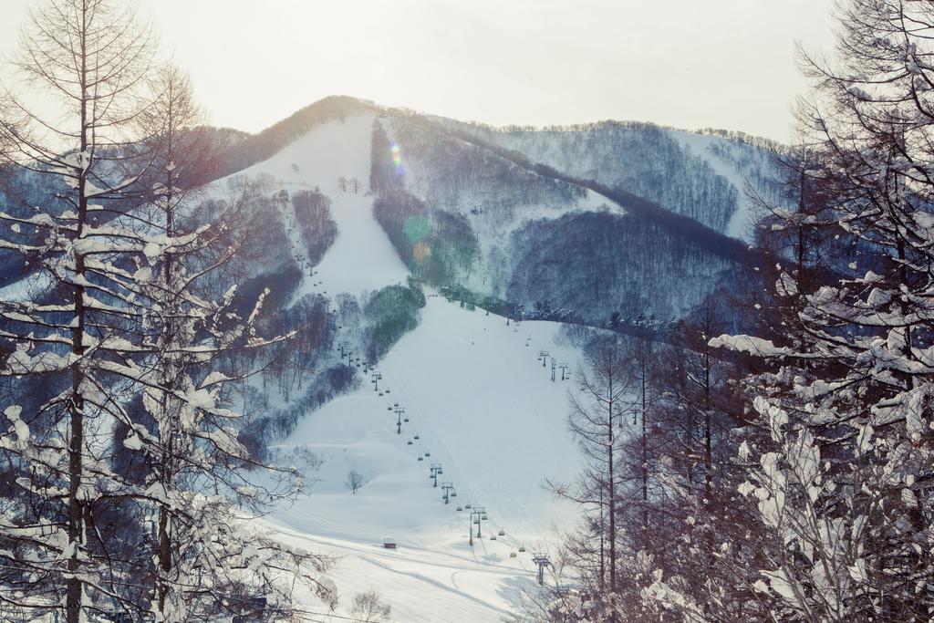 Hotel Snowball Chalet At Madarao Mountain Iiyama Exterior foto
